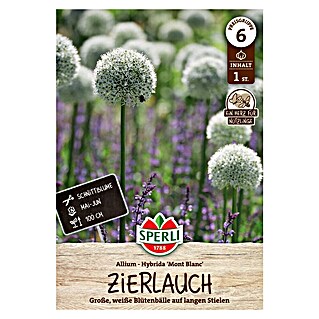 Sperli Bloembollen Sierui Mont Blanc (Allium stipitatum, Wit, 1 st.)