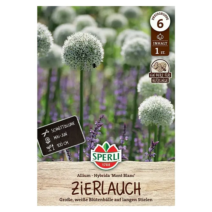 Sperli Blumenzwiebeln Zierlauch Mont Blanc - Allium stipitatum, Weiß, 1 Stk. - Abbildung einer Samenpackung Zierlauch 'Mont Blanc' von Sperli, mit der Aufschrift "Große, weiße Blütenbälle auf langen Stielen".