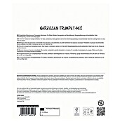 Sperli Bloembollen Maxi Trompet Narcis Mix (Narcissus pseudonarcissus, 15 st.) | BAUHAUS