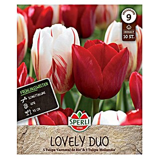 Sperli Bloembollen Lentetuin Lovely Duo (Tulipa x Hybrida, 10 st.)