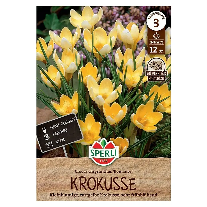 Sperli Blumenzwiebeln Wildkrokus Romance - Crocus sieberi, 12 Stk. - Produktabbildung der Krokusse 'Romance' von Sperli, ideal für den Frühling. Diese kleinblumigen Krokusse sind zartgelb und frühblühend.