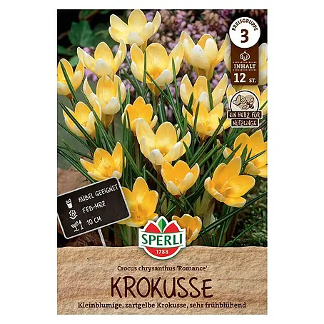 Sperli  Blumenzwiebeln Wildkrokus Romance