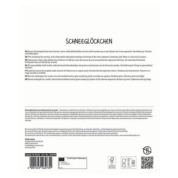 Sperli Blumenzwiebeln Maxi Schneeglöckchen - Galanthus ikariae, 22 Stk. - Schneeglöckchen-Verpackung. Die Packung enthält 22 Schneeglöckchen-Zwiebeln und Informationen zur Aufbewahrung.