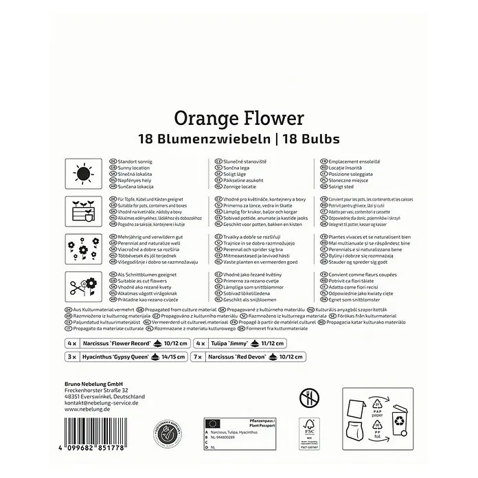 Kiepenkerl Blumenzwiebeln Mega-Pack - Orange Flower, 18 Stk. - Packung mit Orange Flower Blumenzwiebeln, enthält 18 Zwiebeln von Narzissen 'Flower Record', Tulpen 'Jimmy' und Hyazinthen 'Gypsy Queen'.