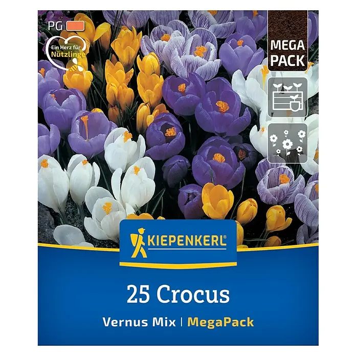 Kiepenkerl Blumenzwiebeln Krokus Mega-Pack - Crocus vernus Gartenkrokusmischung, 25 Stk. - Abbildung einer Packung 25 Krokusse Vernus Mix MegaPack mit bunten Krokussen in Weiß, Gelb und Lila.