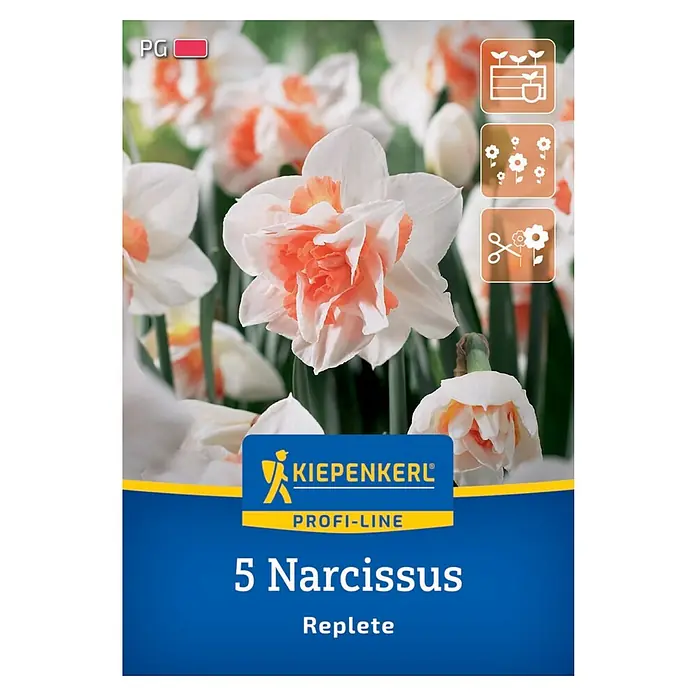 Kiepenkerl Profi-Line Blumenzwiebeln Narzisse - Narcissus pseudonarcissus Replete, 5 Stk. - Packung mit 5 Narzissen 'Replete'. Die Narzisse 'Replete' zeichnet sich durch ihre gefüllte Blüte mit weiß-orangenen Blütenblättern aus.