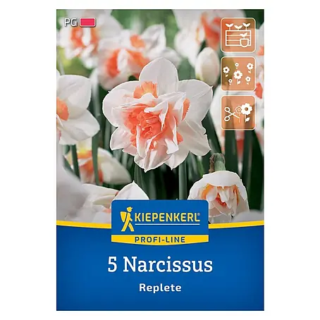 Kiepenkerl Profi-Line Blumenzwiebeln Narzisse