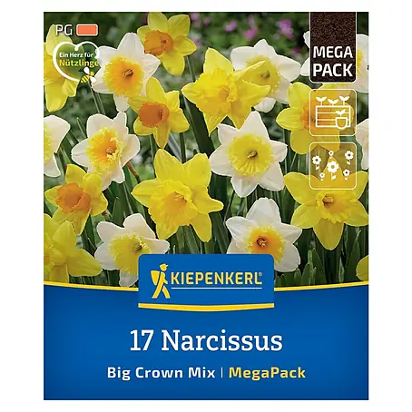 Kiepenkerl  Blumenzwiebeln Narzissen Mega-Pack Big Clown