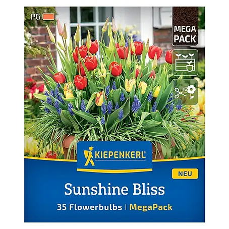 Kiepenkerl  Blumenzwiebeln Mega-Pack