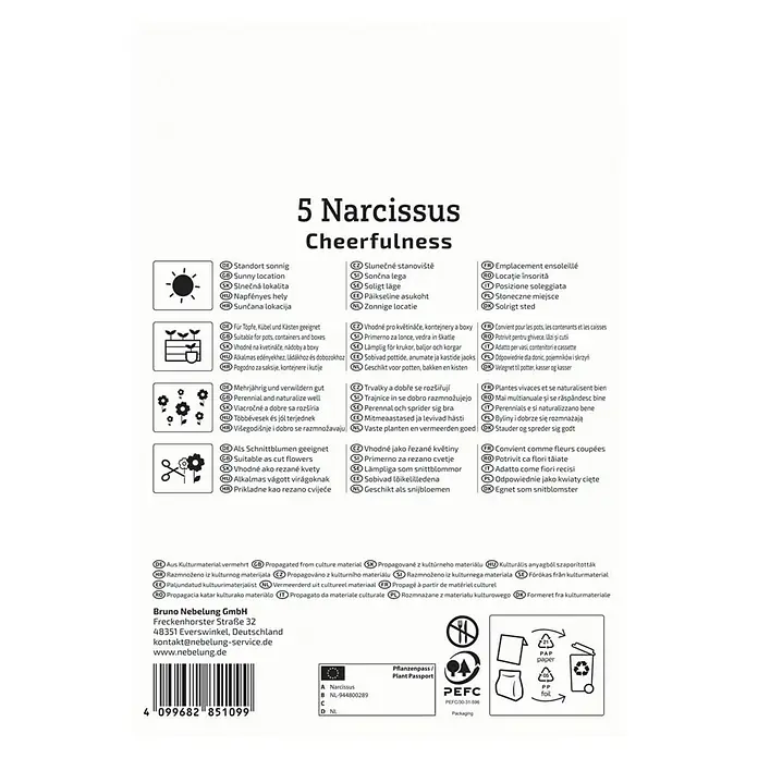 Kiepenkerl Blumenzwiebeln Poetaz Narzisse - Narcissus pseudonarcissus Cheerfulness, 5 Stk. - Produktinformationen zu 5 Narzissen Cheerfulness, ideal für sonnige Standorte und geeignet für Töpfe.