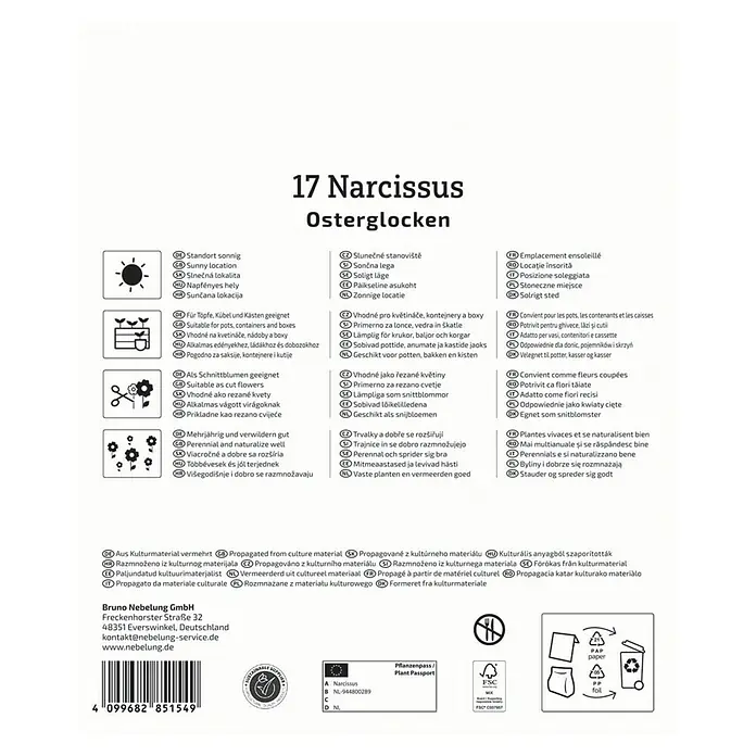 Kiepenkerl Blumenzwiebeln Narzissen Mega-Pack - Narcissus pseudonarcissus, 17 Stk. - Produktverpackung für 17 Narzissen Osterglocken, ideal für sonnige Standorte und vielseitig verwendbar.