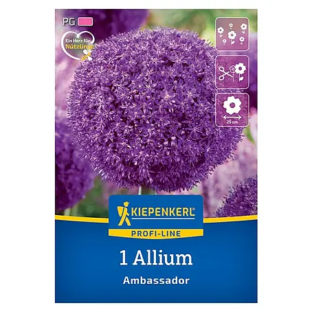 Kiepenkerl Profi-Line Blumenzwiebeln Zierlauch