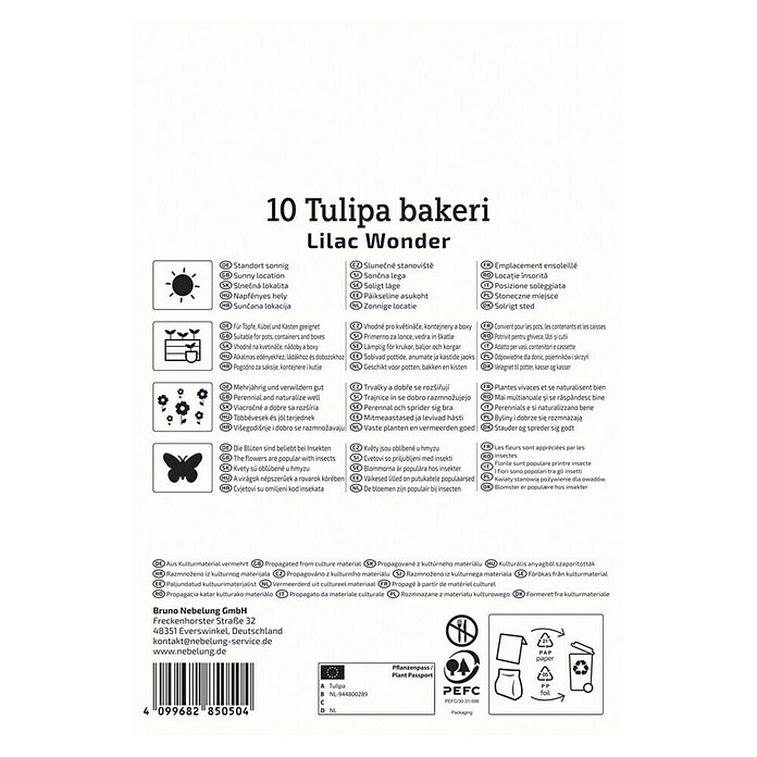 Kiepenkerl Cvjetne lukovice Lilac Wonder  (Pekara Tulip 'Lilac Wonder', 12 Kom.) | BAUHAUS