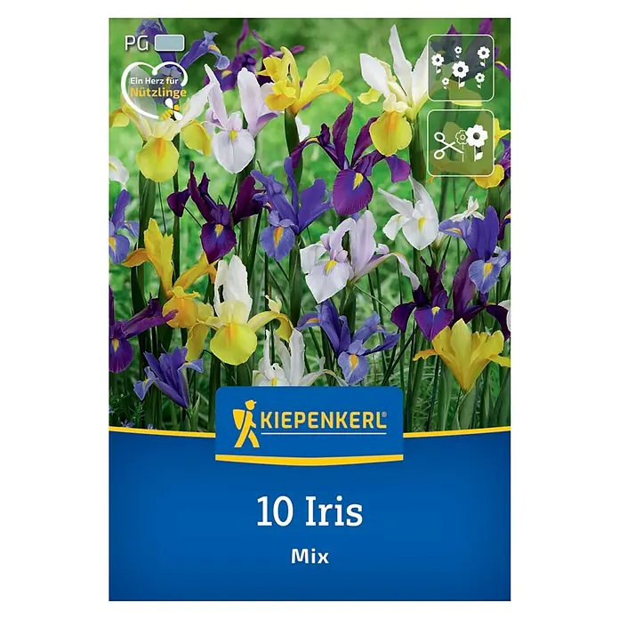 Kiepenkerl Blumenzwiebeln holländische Schwertlilien Mischung - Iris hollandica, 10 Stk. - Die Packung mit 10 Iris-Mix-Blumenzwiebeln von Kiepenkerl zeigt eine farbenfrohe Mischung aus Irisblüten in Gelb, Lila, Blau und Weiß.