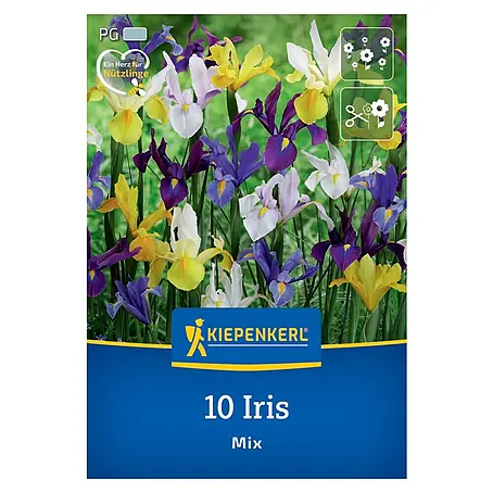 Kiepenkerl  Blumenzwiebeln holländische Schwertlilien Mischung