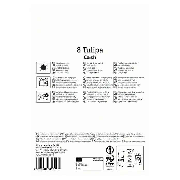 Kiepenkerl Blumenzwiebeln Tulpe - Tulipa x Hybrida 'Cash', 8 Stk. - Verpackung für 8 Tulipa Cash Zwiebeln, mit Hinweisen zu Standort, Pflanzung und Verwendung als Schnittblume.
