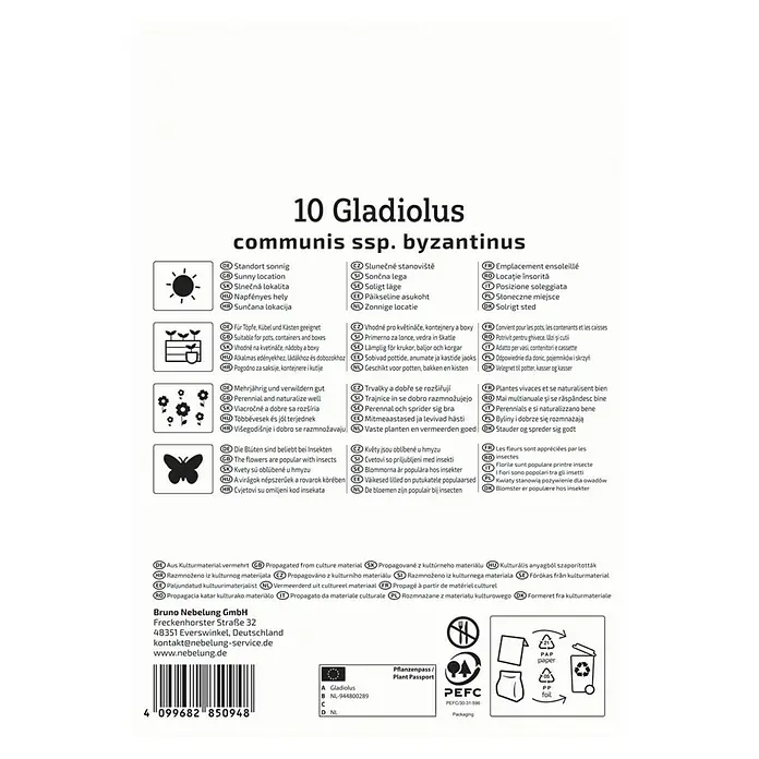 Kiepenkerl Blumenzwiebeln Wild-Gladiole - Gladiolus communis ssp. byzantinus, 10 Stk. - Informationen zu 10 Gladiolen communis ssp. byzantinus, Standort, Pflegehinweise und Infos zur Herkunft des Kulturmaterials.