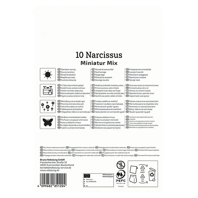 Kiepenkerl Blumenzwiebeln Miniatur-Narzissen Mischung - Narcissus pseudonarcissus, 10 Stk. - Produktbild: 10 Narzissen Miniatur Mix, geeignet für sonnige Standorte, Töpfe und Kübel, mehrjährig, beliebt bei Insekten, aus Kulturmaterial vermehrt.
