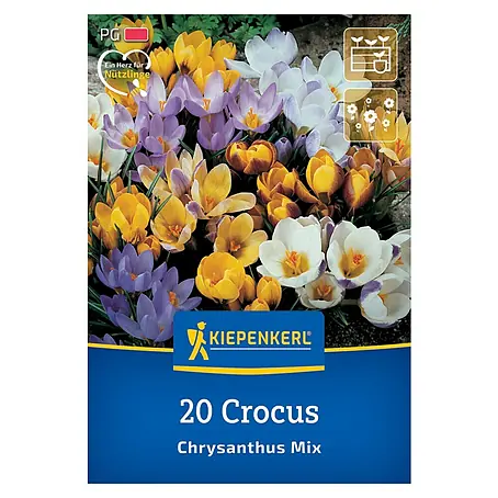 Kiepenkerl  Blumenzwiebeln Krokus Mischung