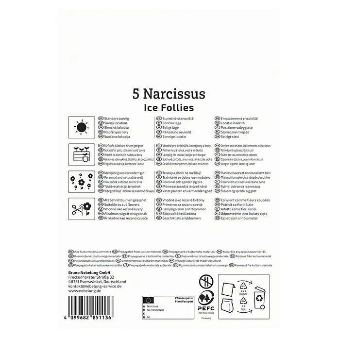 Kiepenkerl Blumenzwiebeln Narzisse - Narcissus pseudonarcissus Ice Follies, 5 Stk. - Bild einer Produktverpackung für 5 Narzissen 'Ice Follies', geeignet für sonnige Standorte und als Schnittblumen.