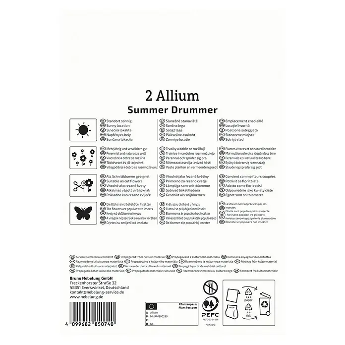 Kiepenkerl Blumenzwiebeln Zierlauch - Allium x Hybrida 'Summer Drummer', 2 Stk. - Verpackung für 2 Allium Summer Drummer Blumenzwiebeln, mit Hinweisen zu Standort, Pflege und Bienefreundlichkeit.