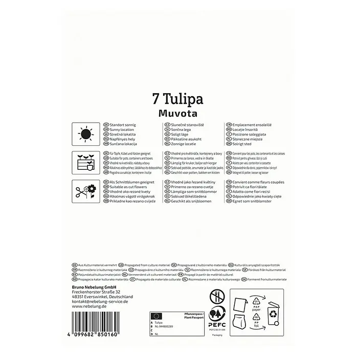 Kiepenkerl Blumenzwiebeln Tulpe - Tulipa x Hybrida 'Muvota', 7 Stk. - Verpackungsaufdruck für "7 Tulipa Muvota" Blumenzwiebeln, mit Hinweisen zu Standort, Verwendung und Herkunft.