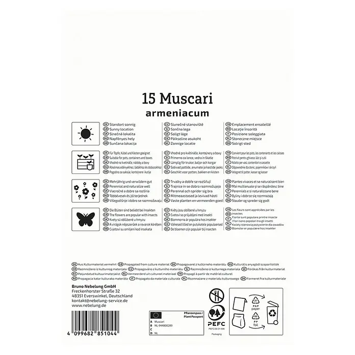Kiepenkerl Blumenzwiebeln Traubenhyazinthe - Muscari armeniacum, 15 Stk. - Verpackungsaufdruck für 15 Muscari armeniacum Blumenzwiebeln mit Hinweisen zu Standort, Pflanzung, Pflege und Herkunft.