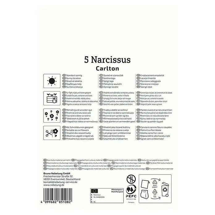 Kiepenkerl Blumenzwiebeln Narzisse - Narcissus pseudonarcissus Carlton, 5 Stk. - Informationen zu Narzissen Carlton, ideal für sonnige Standorte, Töpfe und als Schnittblume, aus Kulturmaterial vermehrt.