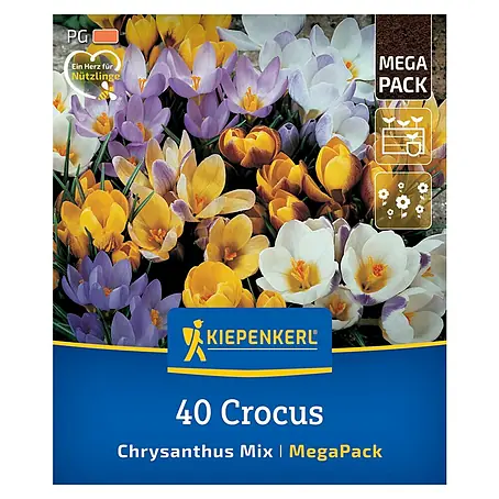 Kiepenkerl  Blumenzwiebeln Krokus Mega-Pack