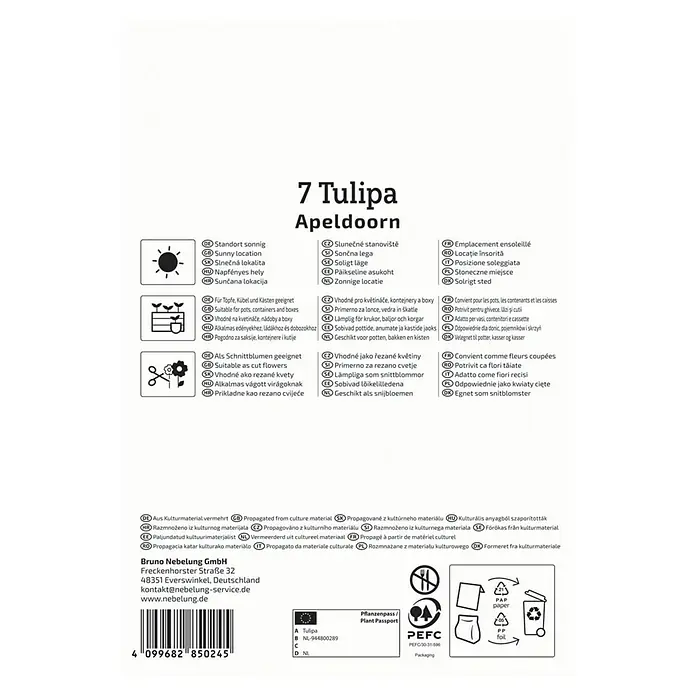 Kiepenkerl Blumenzwiebeln Tulpe - Tulipa x Hybrida 'Apeldoorn', 7 Stk. - Abbildung einer Verpackung für 7 Tulipa Apeldoorn Blumenzwiebeln, die für sonnige Standorte und als Schnittblumen geeignet sind.