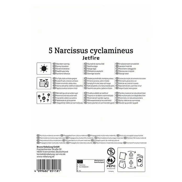 Kiepenkerl Blumenzwiebeln Narzisse - Narcissus cyclamineus Jetfire, 5 Stk. - Produktbild der '5 Narcissus cyclamineus Jetfire' Blumenzwiebelpackung mit Pflanz- und Pflegehinweisen.