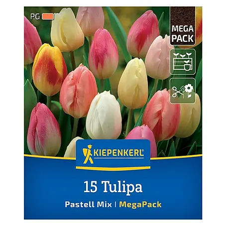 Kiepenkerl  Blumenzwiebeln Tulpenmischung