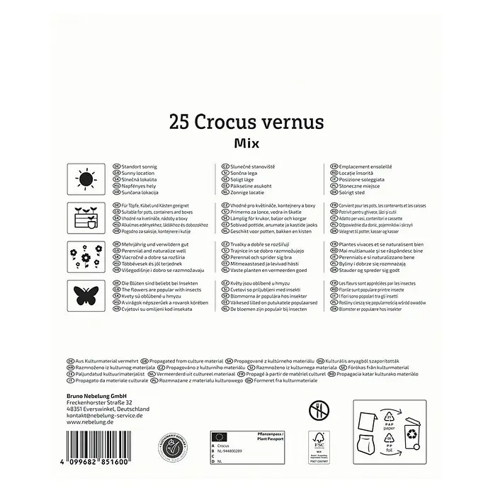 Kiepenkerl Blumenzwiebeln Krokus Mega-Pack - Crocus vernus Gartenkrokusmischung, 25 Stk. - Bild einer 25er-Packung Crocus vernus Mix, ideal für sonnige Standorte und zur Bepflanzung in Töpfen und Kästen.