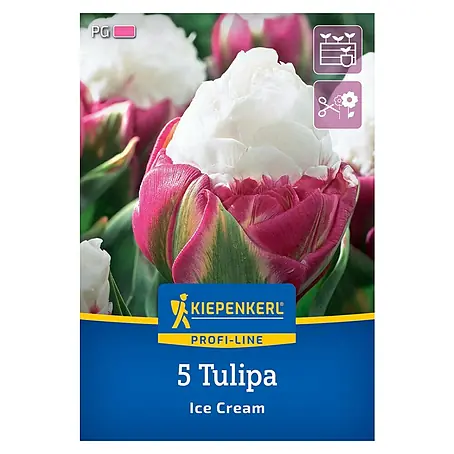 Kiepenkerl Profi-Line Blumenzwiebeln Tulpe