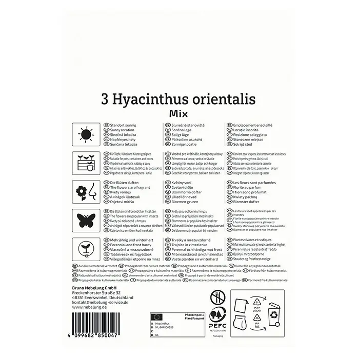 Kiepenkerl Blumenzwiebeln Hyazinthen-Mix - Hyacinthus orientalis, 3 Stk. - 3 Hyazinthen orientalis Mix, ideal für sonnige Standorte, Töpfe und Kästen, duftende Blüten, beliebt bei Insekten, mehrjährig und winterhart.