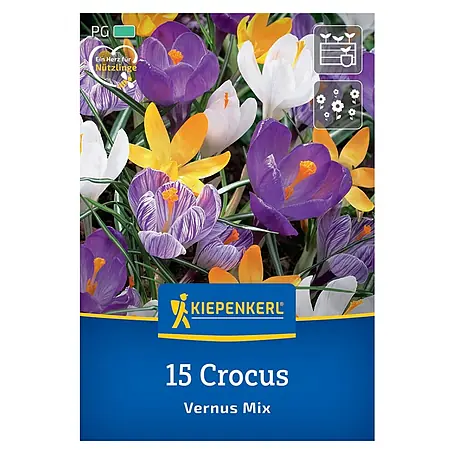Kiepenkerl  Blumenzwiebeln Krokus Mischung