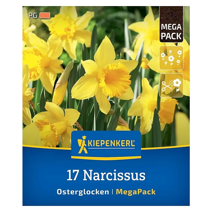 Kiepenkerl Blumenzwiebeln Narzissen Mega-Pack - Narcissus pseudonarcissus, 17 Stk. - Verpackung mit 17 Narzissen "Osterglocken" im Mega-Pack. Die gelben Blüten sind ideal für den Frühlingsgarten.