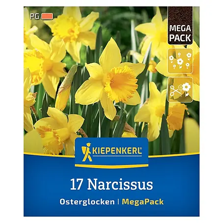 Kiepenkerl  Blumenzwiebeln Narzissen Mega-Pack