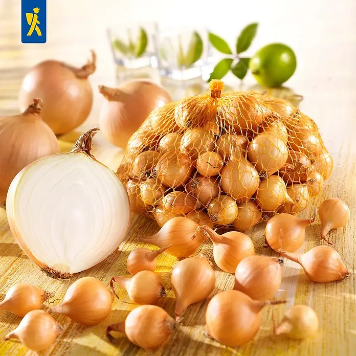 Kiepenkerl Steckzwiebeln - Allium cepa Senshyu Yellow, Erntezeit: Juni - Zwiebeln in verschiedenen Größen und Formen auf einem Tisch, einige davon in einem Netz, und ein halbierte Zwiebel.