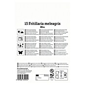 Kiepenkerl Cvjetne lukovice Logarica Mix  (Fritillaria meleagris, 15 Kom.) | BAUHAUS