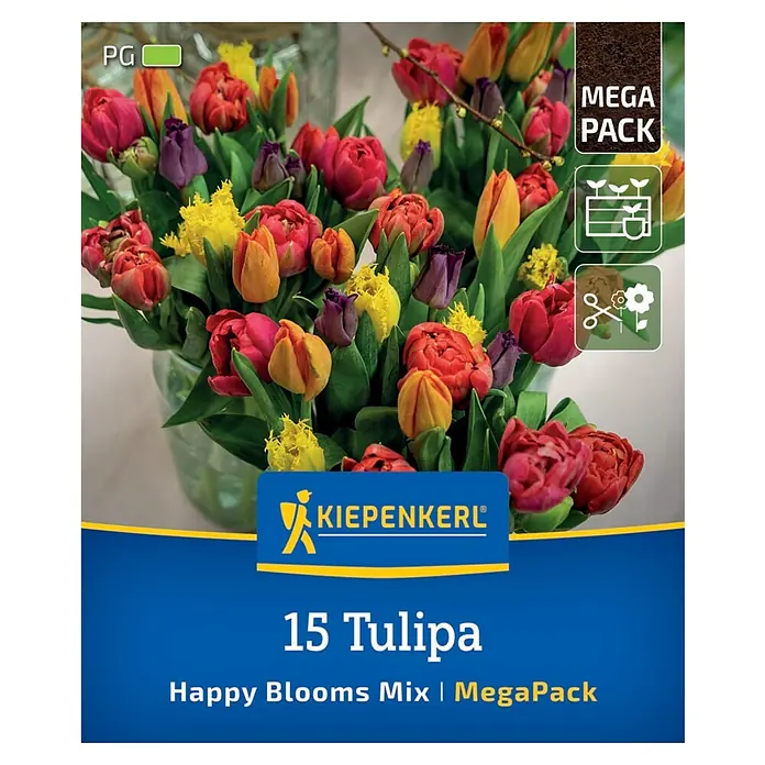 Kiepenkerl Blumenzwiebeln Mega-Pack - Tulipa x Hybrida 'Happy Bloom Mix', 15 Stk. - Das Bild zeigt eine Kiepenkerl-Verpackung mit 15 Tulipa Happy Blooms Mix Blumenzwiebeln, ein MegaPack für farbenfrohe Tulpen.