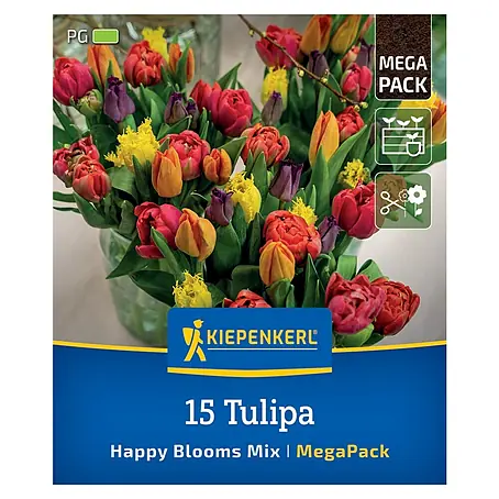 Kiepenkerl  Blumenzwiebeln Mega-Pack