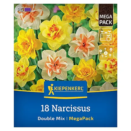 Kiepenkerl  Blumenzwiebeln Gefüllte Narzissen Mega-Pack