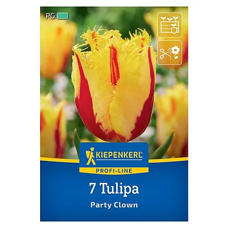 Kiepenkerl Profi-Line Blumenzwiebeln Tulpe