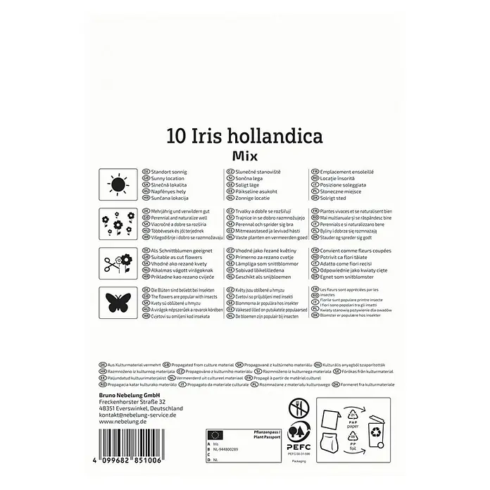 Kiepenkerl Blumenzwiebeln holländische Schwertlilien Mischung - Iris hollandica, 10 Stk. - Eine Packung "10 Iris hollandica Mix", ideal für sonnige Standorte und als Schnittblumen geeignet, die Insekten anziehen.