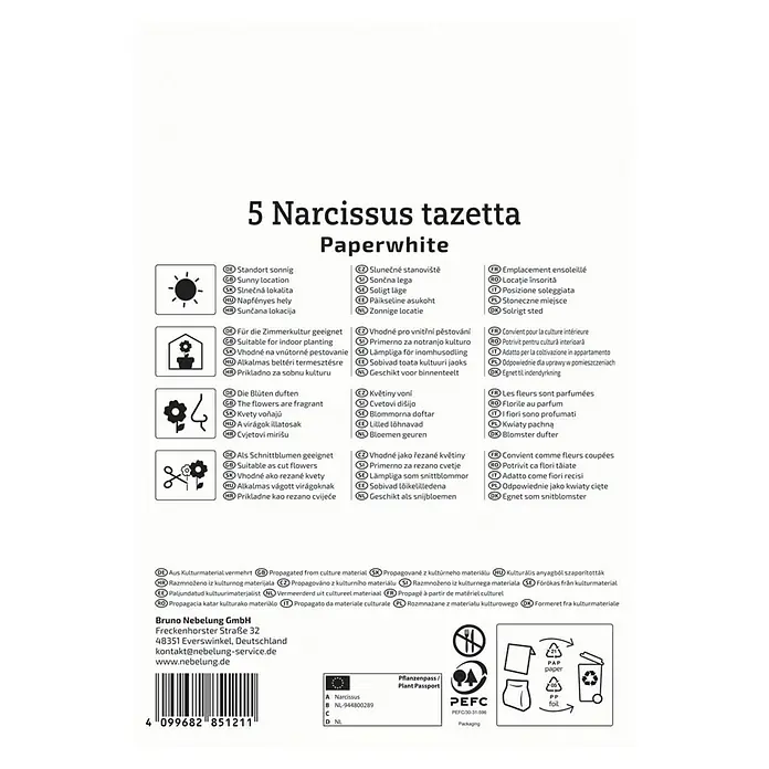 Kiepenkerl Blumenzwiebeln Narzisse - Narcissus tazetta Paperwhite, 5 Stk. - Produktbild: 5 Narzissen tazetta Paperwhite. Standort: sonnig, geeignet für Zimmerkultur, duftende Blüten, als Schnittblumen geeignet.