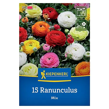 Kiepenkerl  Blumenzwiebeln Ranunkel Mischung