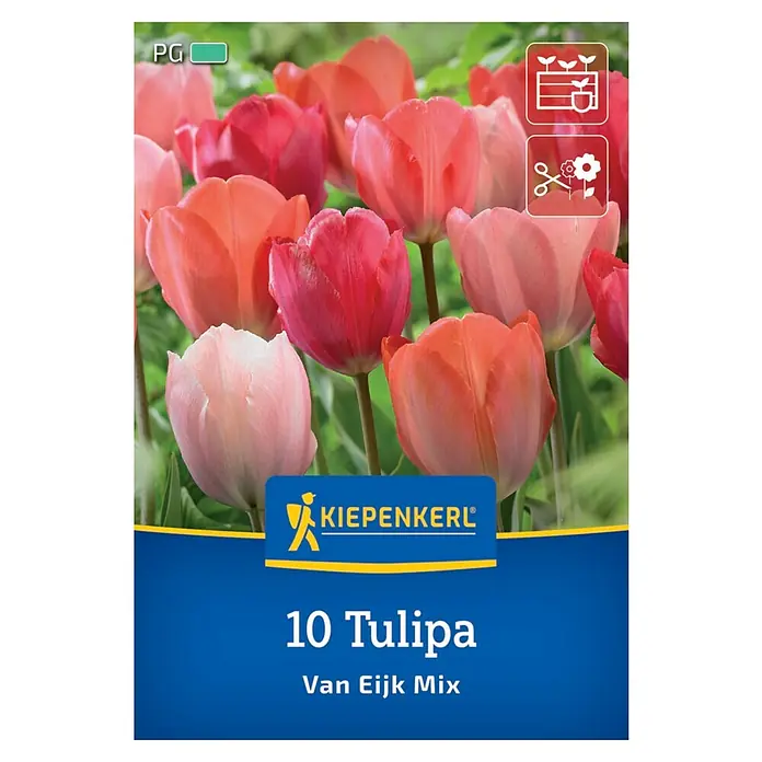 Kiepenkerl Blumenzwiebeln Tulpenmischung - Tulipa x Hybrida 'Van Eijk' Mix, 10 Stk. - Abbildung einer Packung mit 10 Tulipa Van Eijk Mix Blumenzwiebeln, ideal für den Anbau von farbenfrohen Tulpen im Garten oder in Töpfen.