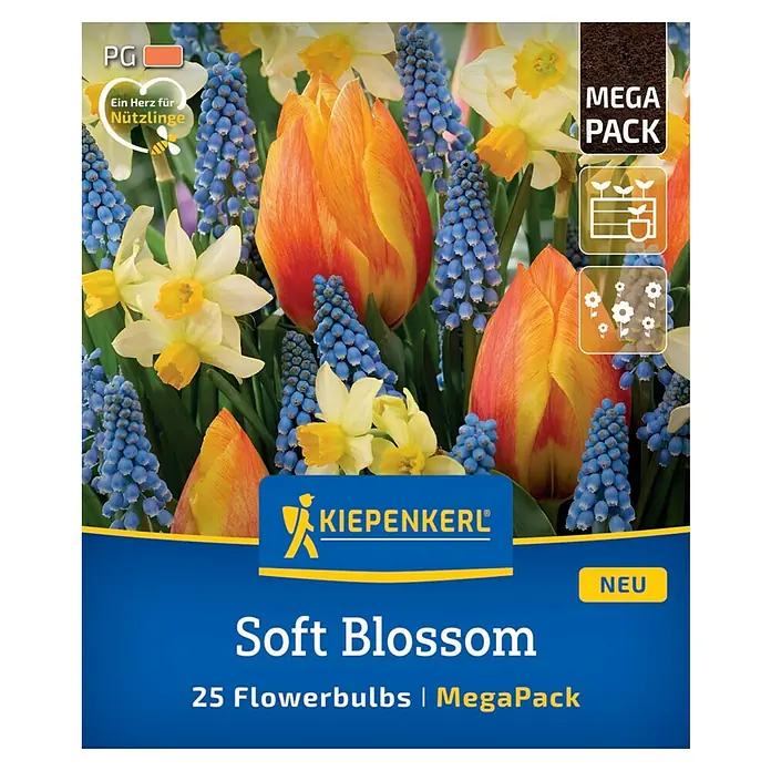 Kiepenkerl Blumenzwiebeln Mega-Pack - Soft Blossom, 25 Stk. - Abbildung der "Soft Blossom" Blumenzwiebeln von Kiepenkerl, einer Mega-Packung mit 25 Zwiebeln, die eine Mischung aus Frühlingsblumen verspricht.