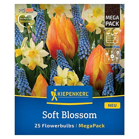 Kiepenkerl  Blumenzwiebeln Mega-Pack